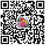 扫一扫